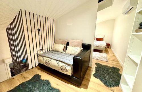 Saint Michel Apartment | Apt Disgne Climatisé Parking et Wifi Gratuit