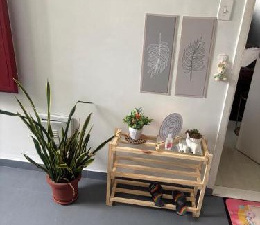 Coqueiro Apartment | Apto dois quartos Px de tudo ideal pra cop