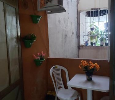 Sao Bras Apartment | Apto em São Bráz