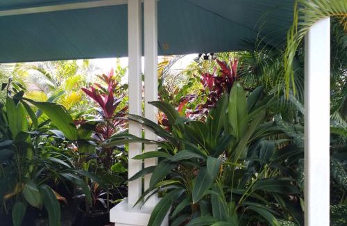 Bocas del Toro Apartment | AQUA POINT CONDOS RENTALs