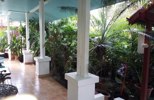 Bocas del Toro Apartment | AQUA POINT CONDOS RENTALs