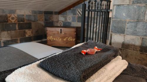 Trieste City Centre House | AQUILA D'ORO TRIESTE