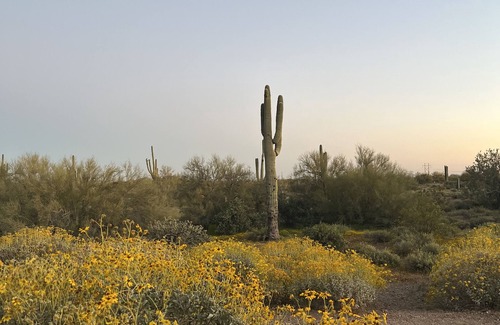 Apache Junction House | Ara 04: A one bedroom suite and rooftop viewing deck, Ara #4