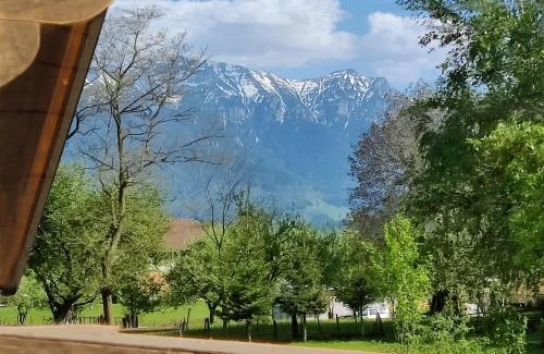 Bran Villa | Ara Chalet