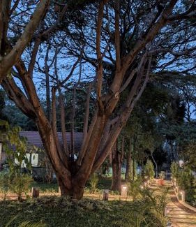 Electronics City Resort | Aranyeh People Tree Resort