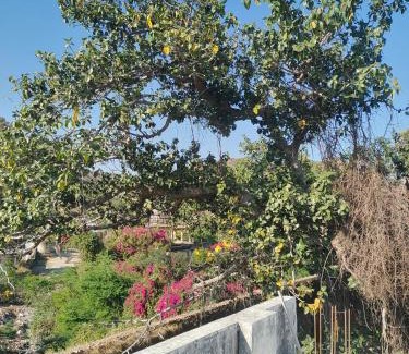 Samode Hotel | Aravalli Mount View Hotel And Restaurant