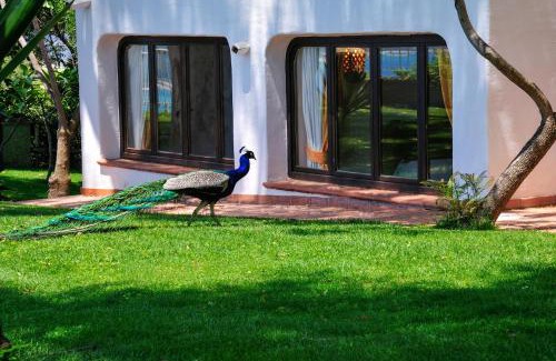 Arbatax Resort | Arbatax Park Resort - Ville del Parco