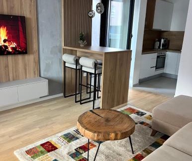 Bjelasnica Apartment | Arbor Apartment