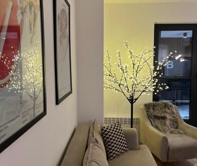Bjelasnica Apartment | Arbor Apartment