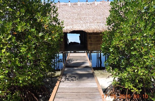 Waisai House | Arborek Homestay