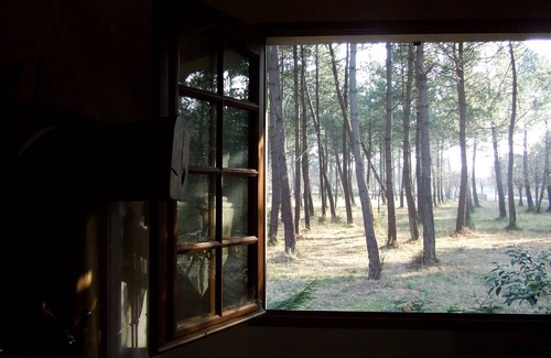 Le Teich Villa | Arcachon bay. Villa with swimming pool. Nice benefits. The Teich