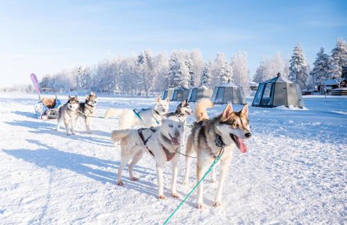 Ranua Hotel | Arctic Guesthouse & Igloos