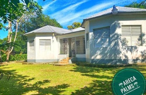 Port Antonio House | Areca Palms