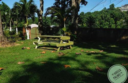 Port Antonio House | Areca Palms