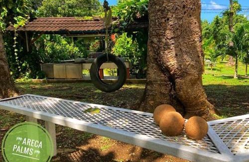 Port Antonio House | Areca Palms