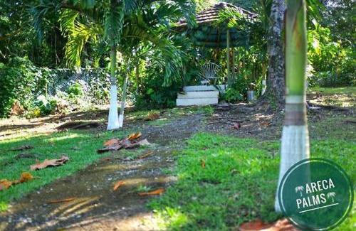 Port Antonio House | Areca Palms