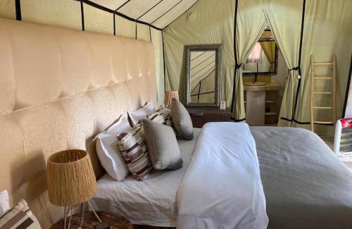 Merzouga House | Arena Desert Camp & Activitys