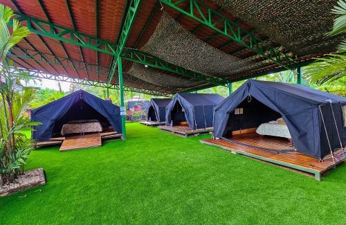 La Fortuna Hostel | Arenal Backpackers Resort