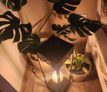 San Clemente Apartment | Arenas blancas 2024