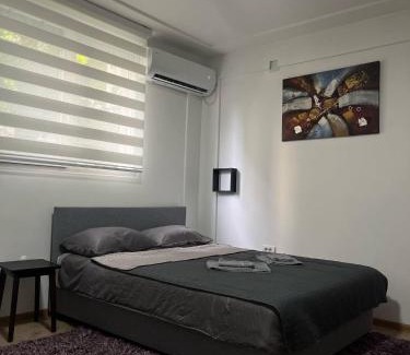 Smederevo Apartment | Aria Central Apartment