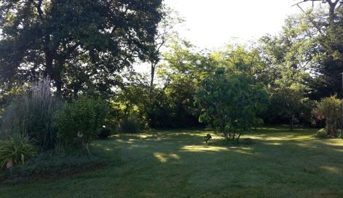 Demu House | Arie Chez Mimosa
