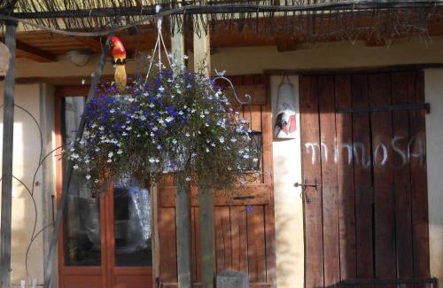 Demu House | Arie Chez Mimosa