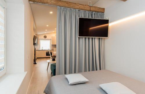 Klaipeda Apartment | Arimu30
