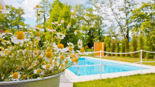 Olympiada Apartment | Aristotelia Gi Ikies - Olympiada Poolside Retreats