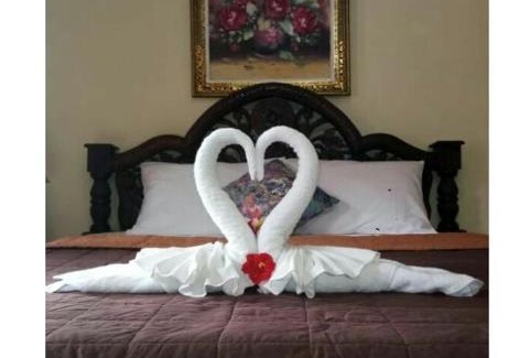 Ubud City-Centre Bed & Breakfast | Arjun Bed and Breakfast