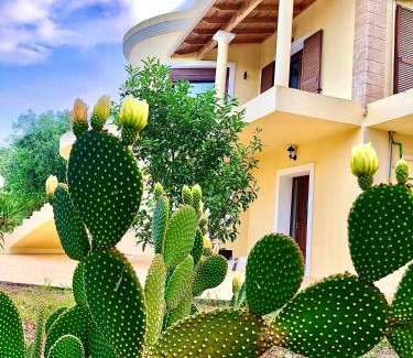 Doukades Apartment | Armonia Corfu Luxury Apartment