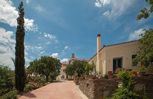 Andros Hotel | Armonia Resort