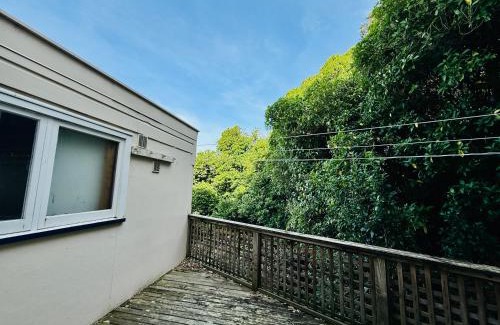 Aro Valley House | Aro Valley -semi inner city gem with a patio