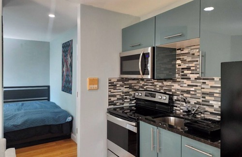 Thompson Square - Bunker Hill Apartment | Art boutique studio "Coral fish" in Charlestown, MA