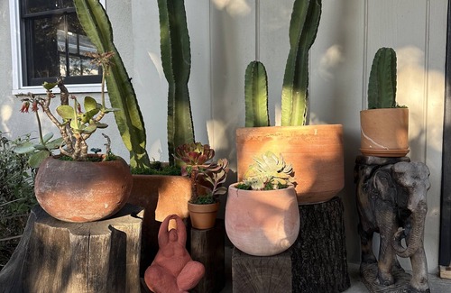 Mar Vista House | Art filled home in beautiful Mar Vista/West Los Angeles minutes from the beach.