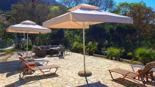 Vatos Villa | Art Villa Olga
