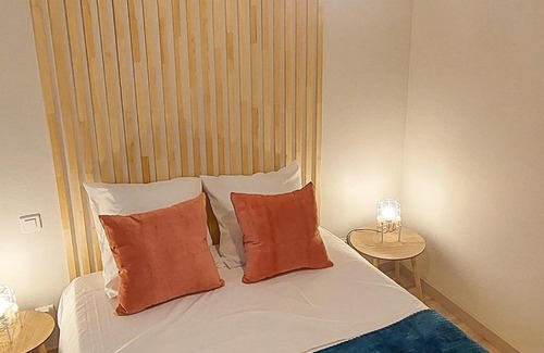 Roanne Apartment | ArtGrey * Idéal Pro * Roanne Secteur Gare et rue piétonnes