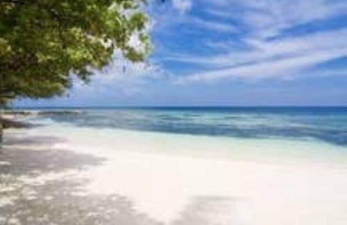 St. Ann's Bay House | Artscape Jamaica Villa @Richmond near Ocho Rios
