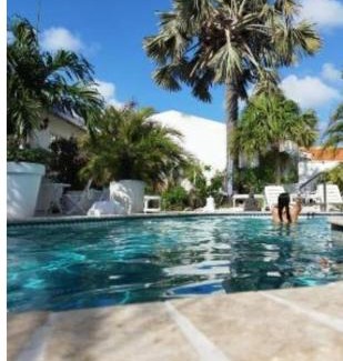 Ponton Apartment | Aruba Harmony Best Place To be