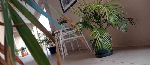 Noord House | aruba Villas