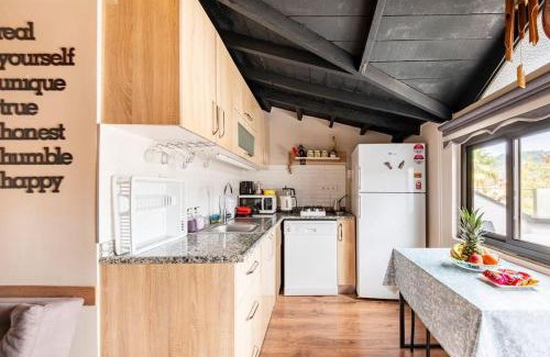 Marmaris City Center Villa | Arya Roof House