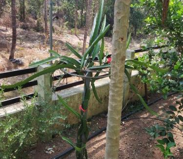 Thrissur House | Ashiaana Homestay