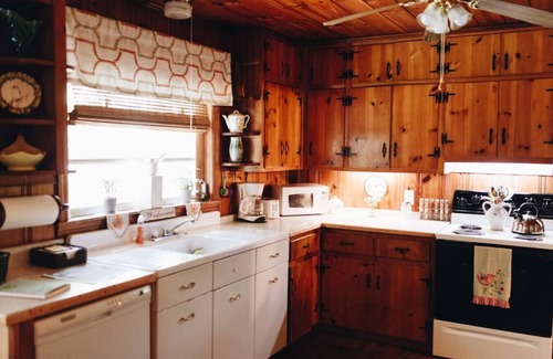 Blue Ridge Cabin | Aska Adventure River Swim and Summer Fun
