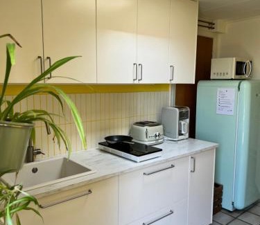 Vester Skerninge House | Askes Oase Guest Apartment
