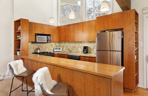 Aspen Condo | Aspen Alps - Front row view of Aspen Mountain - Cozy Two Bedroom