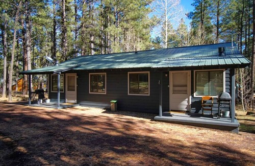 Greer Cabin | Aspen Cabin 1 Summary