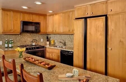Downtown Apartment | Aspen Core Condo, Next to Gondola, Great Location