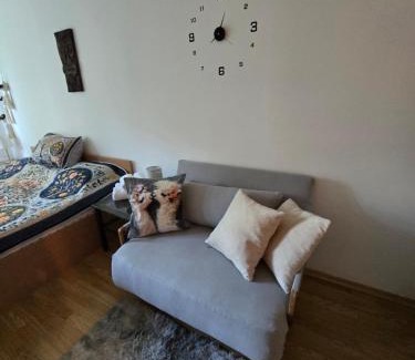 Razlog Apartment | Aspen Valley