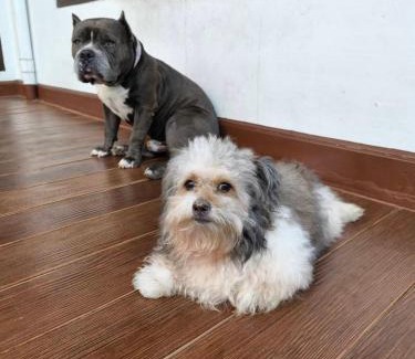 Phasi Charoen House | Aspiraya Homestay with Pool - สำหรับชาวต่างชาติเข้าพักเท่านั้น