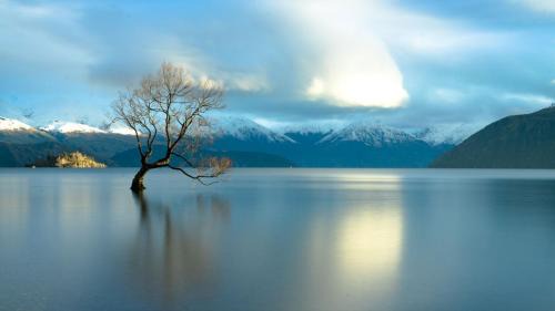 Wanaka Hotel | Aspiring Lodge Motel