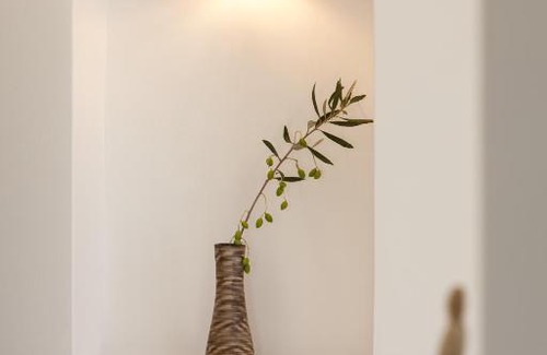 Kamilari House | Aspro Spitaki